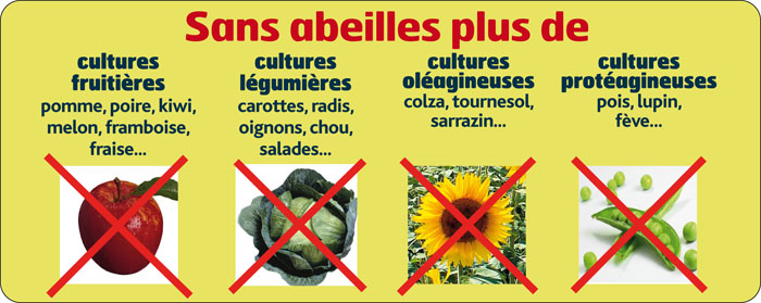 Une image qui montres quelles choses on n'a pas sans abeilles