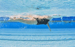 Gif reprsentant une nageuse dans une piscine