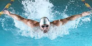Lien vers suivis des performances