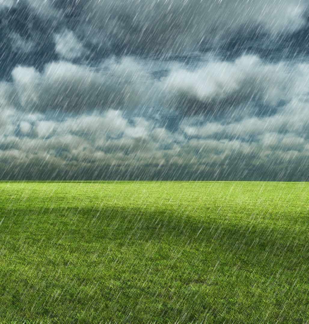 On voit une plaine verdoyante sous la pluie.