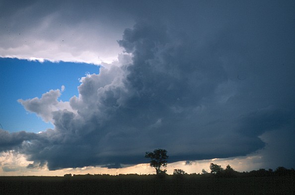 Photo de cumulonimbus. On observe trs bien la forme d'enclume de ses nuages, c'est  dire tal  son sommet et plus fin en dessous.