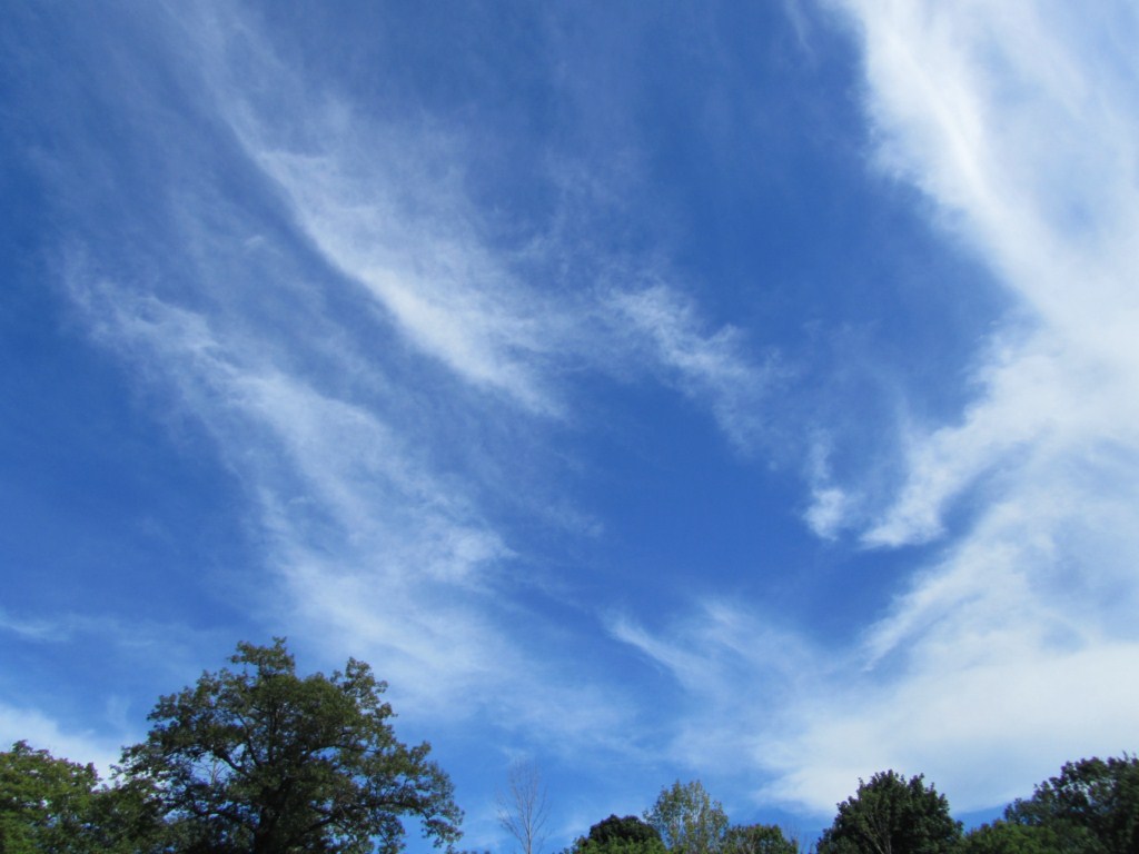 Photo de cirrus, qui forme des petits lambeaux de nuage.