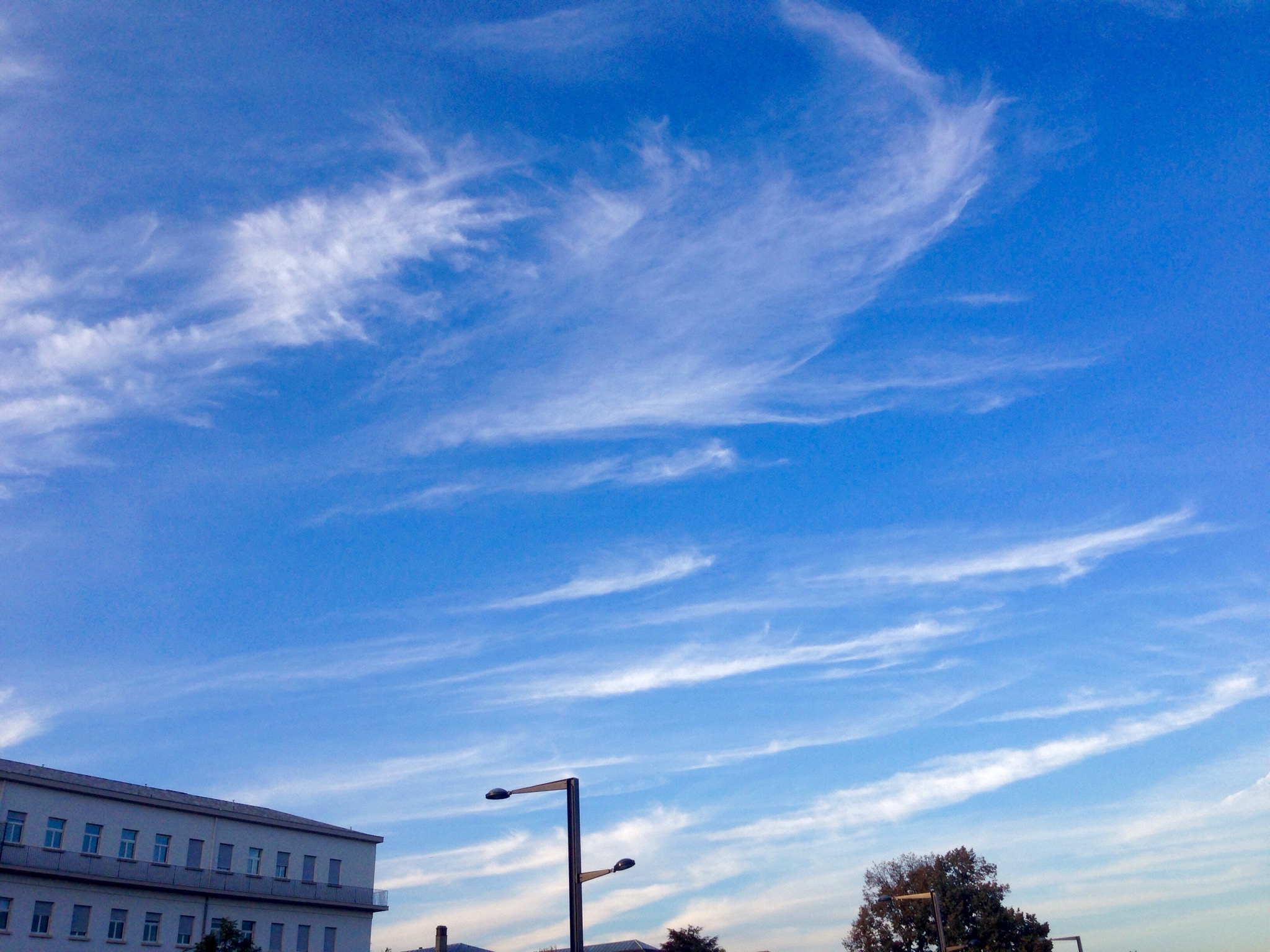 Photo de cirrus, qui forme des petits lambeaux de nuage.