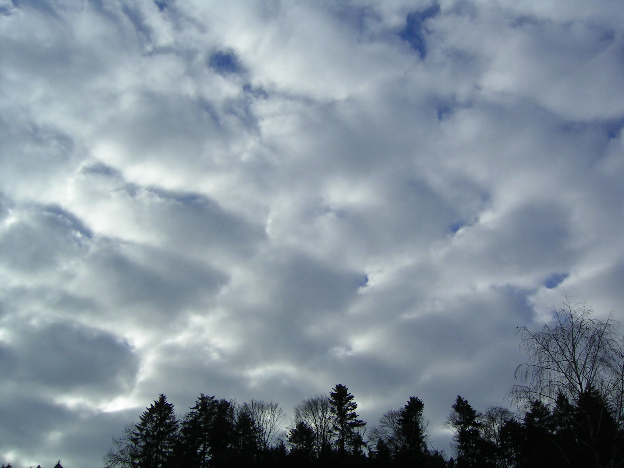 Photo de stratocumulus. On peut voir trs clairement l'aspect rond de ces nuages.