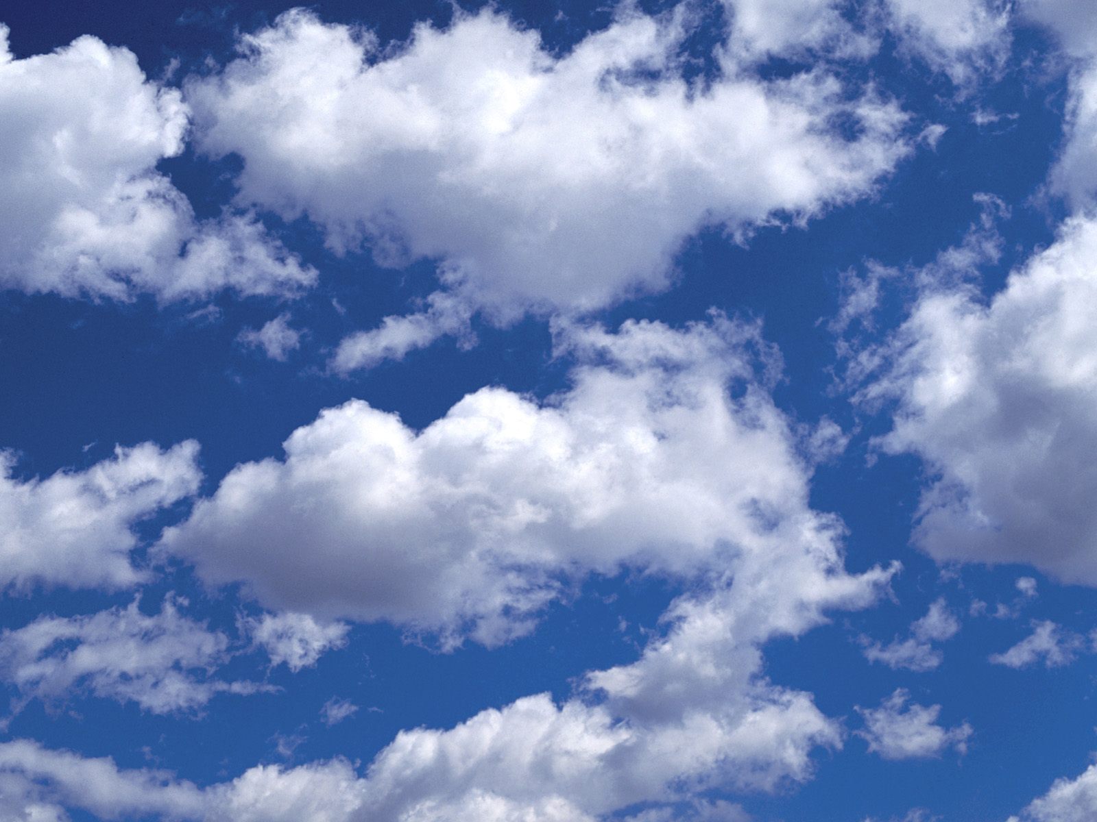 Nuages blancs et cotoneux.