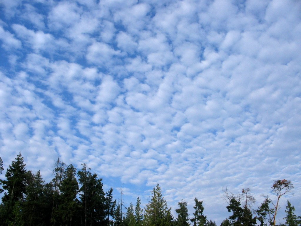 Photo de stratocumulus. On peut voir très clairement l'aspect rond de ces nuages. Photo de stratocumulus. On peut voir très clairement l'aspect rond de ces nuages.