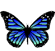 Morpho-bleu