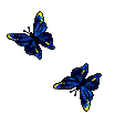support gif