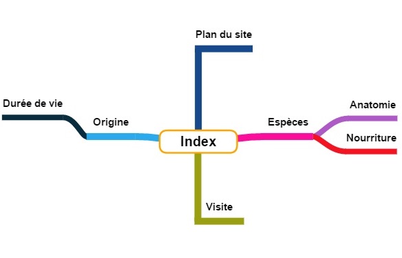 Plan du site, framindmap