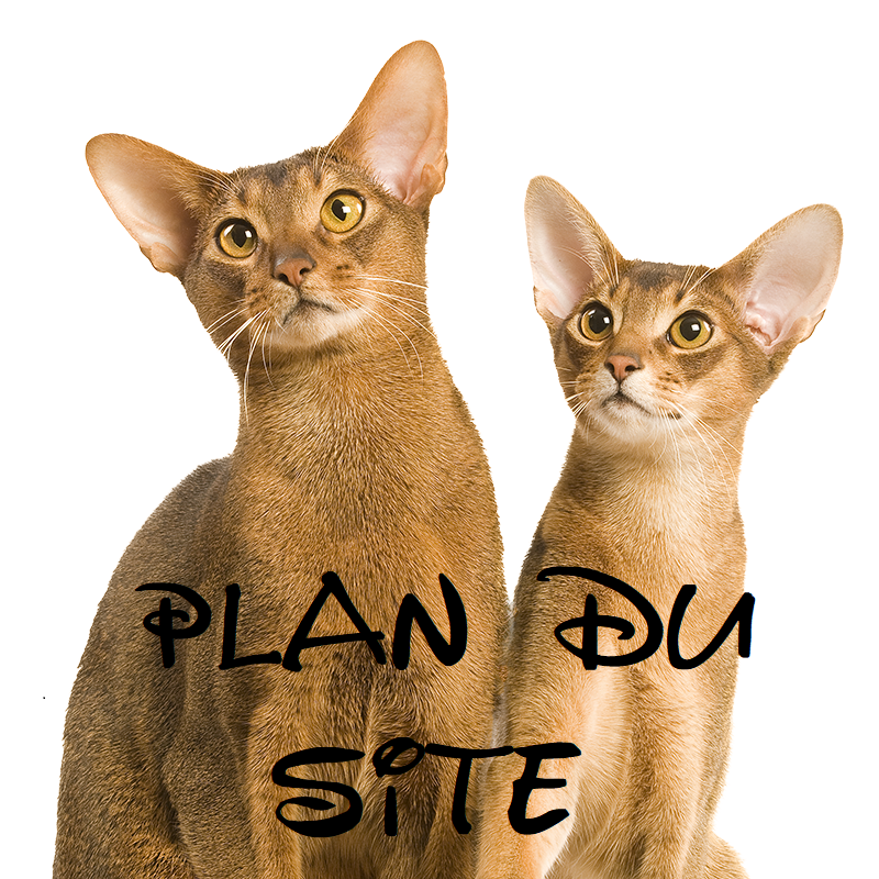 plandusite