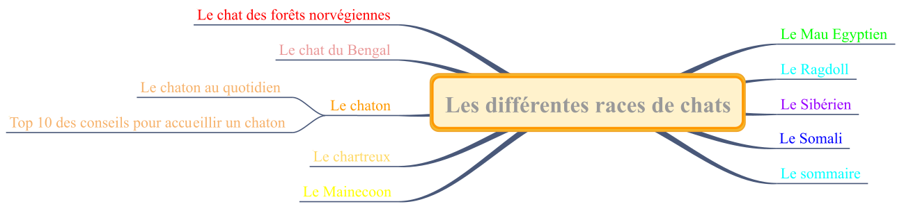 Image plan du site