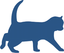 Silhouette de chat