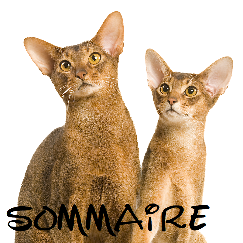 sommaire
