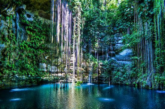 pisicne naturelle