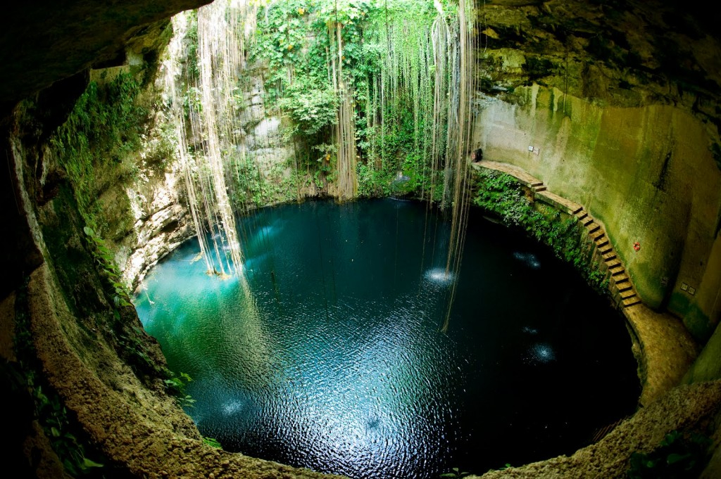 pisicne naturelle mexique