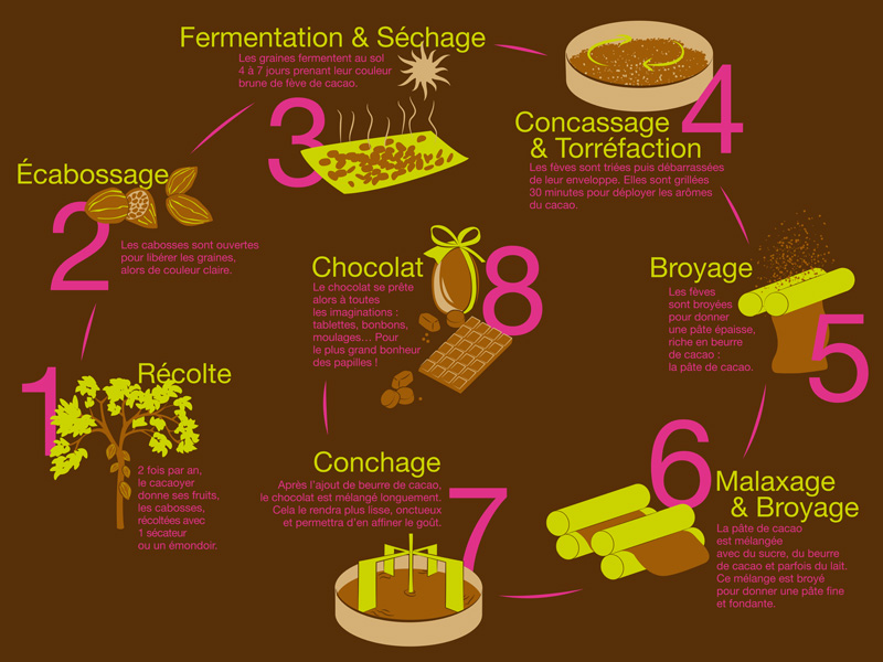 fabrication du chocolat shémas