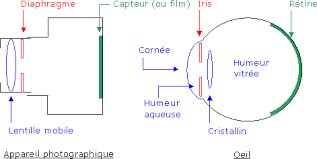 schema_oeil_appareil_photo