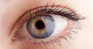 un oeil