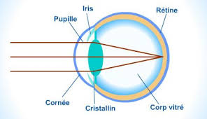 schma lgend de la vision