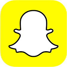 LogoSnap
