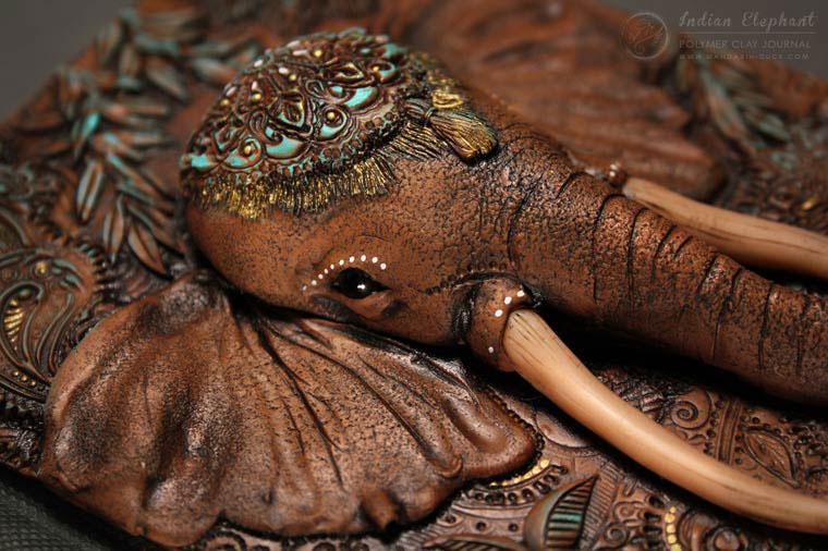 dtail couveerture ethnique