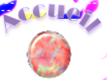 Bouton pour aller  l'accueil