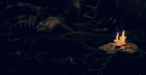 gif décoratif en début de chapitre - quelques bougies brûlent dans le noir